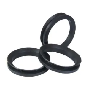 Eurosteam® Iron O-Rings